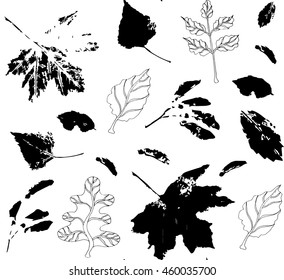 Black and white seamless pattern with leaves of maple, ash tree, oak, poplar and seeds of maple; both drawings and stylized as stamp or imprint; rustic or boho style