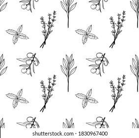 
black and white seamless pattern in line art style. Consists of sage, olive, thyme, basil branches. Can be used in web design, clothing printing, printing, as a substrate for menus, banner background