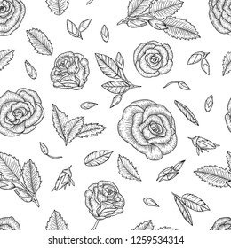Black and white seamless pattern with roses. Engraving style floral background. Graphic line drawing backdrop. Hand drawn illustration