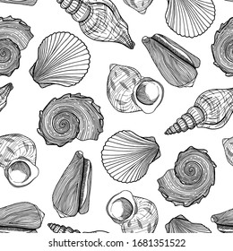 Black and white seamless pattern with seashells. Hand drawn outline vector illustration of underwater shells. Nautical background. Marine elements on white for cards, decoration, textile, print