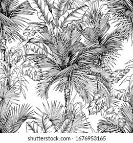 Black and white seamless pattern with sketchy tropical palm foliage. Hand drawn vector illustration.