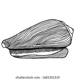 Sello blanco y negro. Ilustración vectorial del contorno dibujado a mano de la concha submarina. Elemento náutico aislado en fondo blanco para tarjetas, logotipo, decoración, libros de colores, impresión