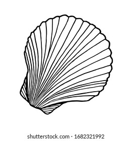 Black and white seashell. Hand drawn outline contour vector illustration of underwater scallop shell. Nautical element isolated on white background for cards, logo, decoration, coloring books, print