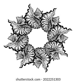 Black and white seashell mandala ornate round frame in black ink isolated on white. Amazing ornamental cockleshell for logo, design element, icons, postcards. Vector illustration. 