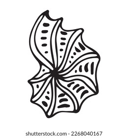 Black and white Seashell . Shell minimalist outline icon. Vector illustration