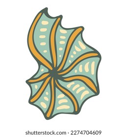 Black and white Seashell . Shell minimalist outline icon. Vector illustration
