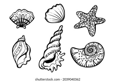 black and white seashells hand drawn set vector illustration isolated on a white background