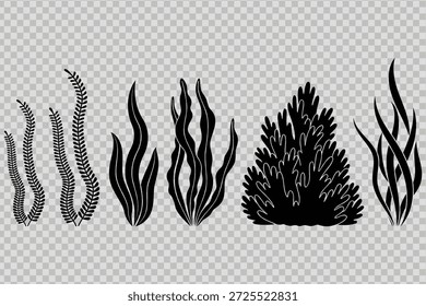 Conjunto de ilustração de vetor de algas marinhas preto e branco