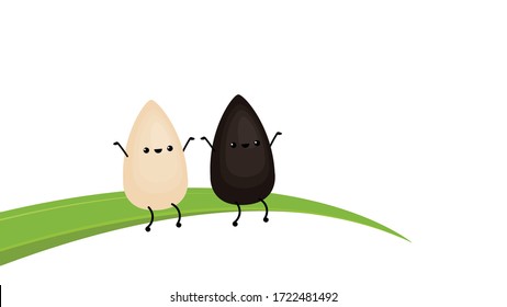 Black and white sesame seed character. Sesame seed on white background.