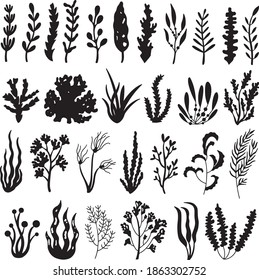 Black and white set of abstract seaweed silhouettes of different types