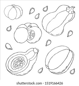 Black and white set. Autumn pumpkins and seeds.