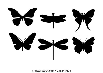 Dragonfly Silhouette Images Stock Photos Vectors Shutterstock