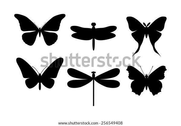 白黒の蝶とトンボ オンチュード イラスト のベクター画像素材 ロイヤリティフリー
