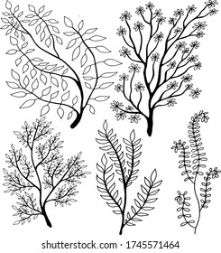 colección de conjunto en blanco y negro de plantas con flores y hojas colorante ilustración vectorial