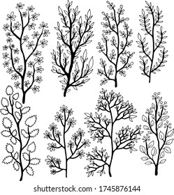 colección de conjunto en blanco y negro de plantas con flores y hojas colorante ilustración vectorial