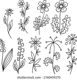 black and white set collection of plants with flowers and leaves coloring vector illustration
