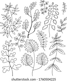 black and white set collection of plants with flowers and leaves coloring vector illustration