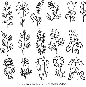 black and white set collection of plants herbs vector illustration image coloring