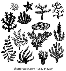 Black and white set of coral and algae. Vector lineart graphics. Hand drawn doodle marine flora