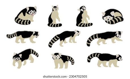 Black and white set of cute red pandas in different poses, flat style animal character design on white background.