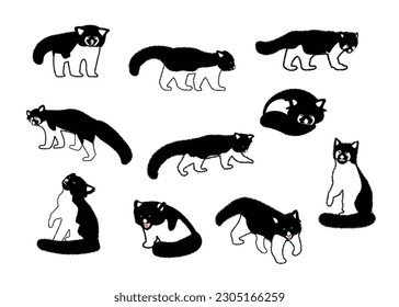 Black and white set of cute red pandas in different poses, flat style animal character design on white background.