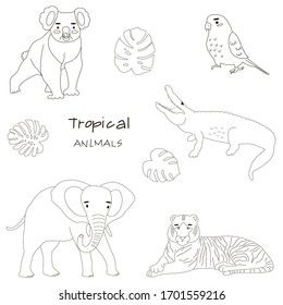 Schwarz-Weiß-Satz süßer tropischer Tiere, isolierter Hintergrund. Im Bild - ein Krokodil, ein Tiger, ein Koala, ein Elefant, ein Papagei. Stilvolle Inschrift und Skizze von Monsterablättern.