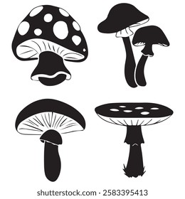 Black and White Set of Different Mushrooms Illustration