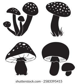 Black and White Set of Different Mushrooms Illustration