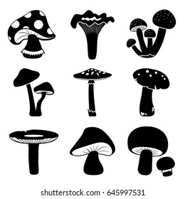 Black and white set of different mushrooms. Vector illustration