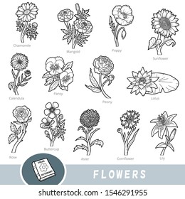 Black and white set of flowers, collection of vector nature items with names in English. Cartoon visual dictionary for children about plants