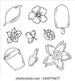 Black and white set. Flowers and leaves. Baby bucket and shovel. Ice cream.