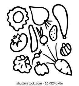 Black And White Set Of Hand Drawn Vegetables. Sketch Of Cabbage, Beetroot, Eggplant, Potatoes, Onion, Cucumber, Tomato, Cauliflower, Radish, Sweet Pepper Carrot and Garlic on White Background.