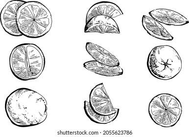 Black and white set of hand drawn lemon fruits