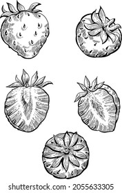 Black and white set of hand drawn strawberry fruits