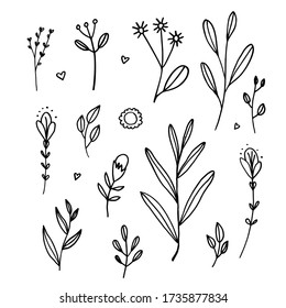 black and white set of hand-drawn doodle flowers and leaves