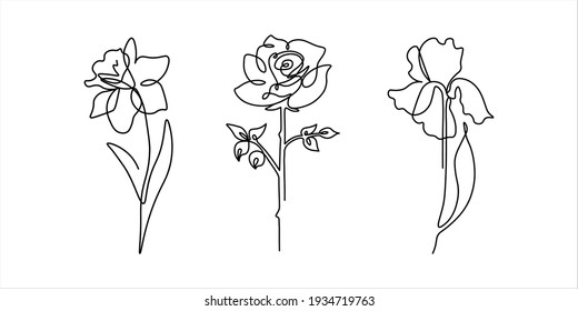 Black and white set of illustrations of iris, rose, daffodil flowers continuous line drawing. Hand drawn vector element for invitation and decoration, postcard, flyer, banner, website