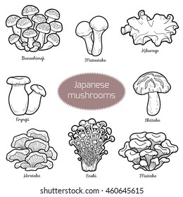 Black and white set of japanese mushrooms, coloring page with different fungi