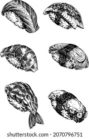 Black and white set of Nigiri Sushi Food. Japanese food sushi. Hand drawn sketch food.