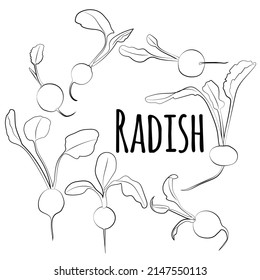 A black and white set of radishes and leaves, 1000x1000 pixels.