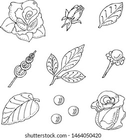 Black and white set. Roses, buds and leaves.