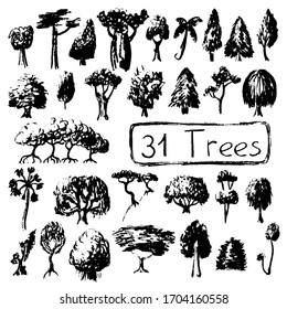 Black and white set silhouettes of tree. Summer tree vector illustration on white background. Black ink tree stamp. Firtree, mangrove, palm and leafy tree. Handdrawn botanical sketch. Earth day poster