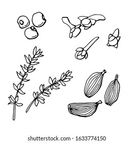 Black and white set of spices from cloves, black pepper, thyme and cardamom. Isolated white. Stock illustration. Vector single outline illustration.