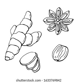 Black and white set of spices from ginger root, nutmeg, and star anise. Isolated white. Stock illustration. Vector single outline illustration.