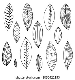 black and white set of stylized hand-drawn leaves