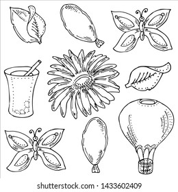 Black and white set. Summer. Flowers, leaves and butterflies. Lemonade and balloons.