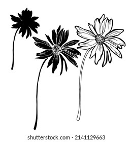 Conjunto blanco y negro de flores de verano de camomila dibujadas a mano blanca aisladas. Diseñar elementos a mano alzada para crear tarjetas de felicitación, invitación a la boda, paquete, volantes, tela, textil.
