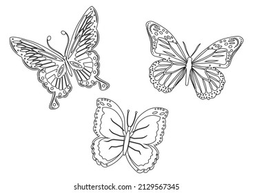 Black and White Set of three butterfly.Vector illustration of three butterfly isolated on white background