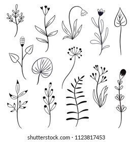 black and white set of vector plants, flowers, branches, white background