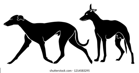 Black and white set of Whippet in profile. English dog Silhouette. Snap dog. Perfect as sticker for cars or as wall design. Simple Illustration. Template for Laser cutting, die cut, stamp or logo. 