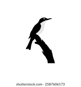 black and white shadow of a beautiful bird